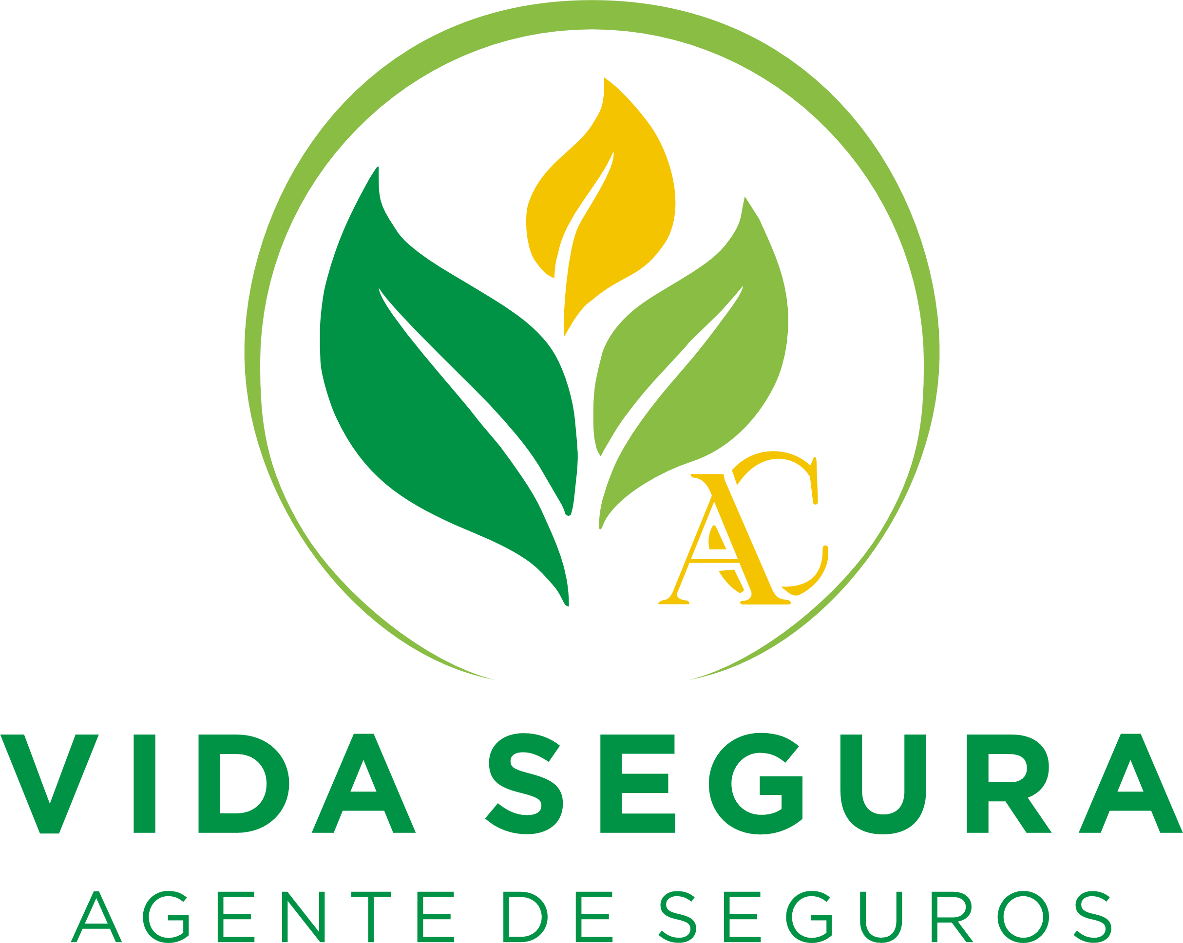 Vida Segura